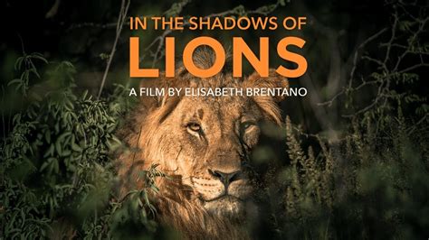 In the Shadows of Lions  Short Film